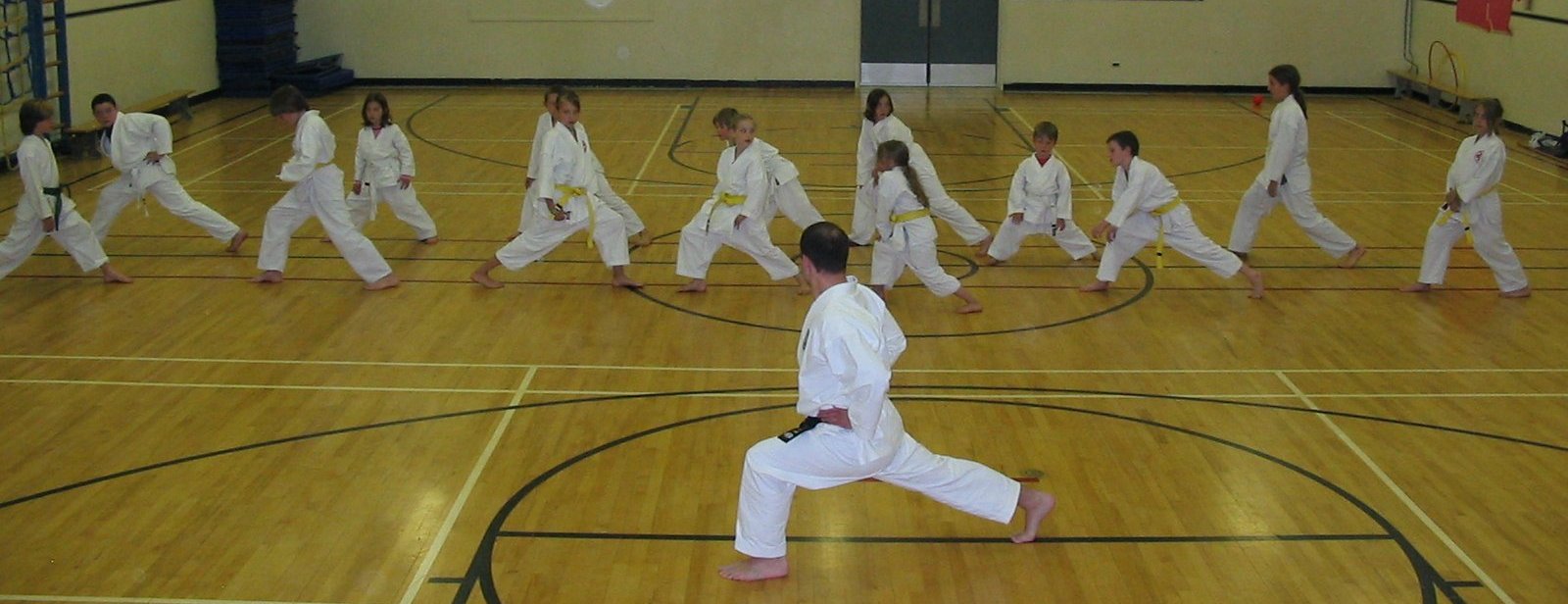 A picture of a karate class